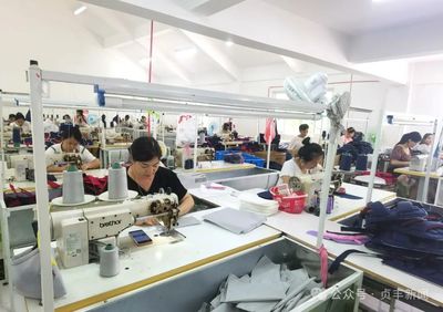 貞豐在線技術培訓 開啟數字化時代新篇章